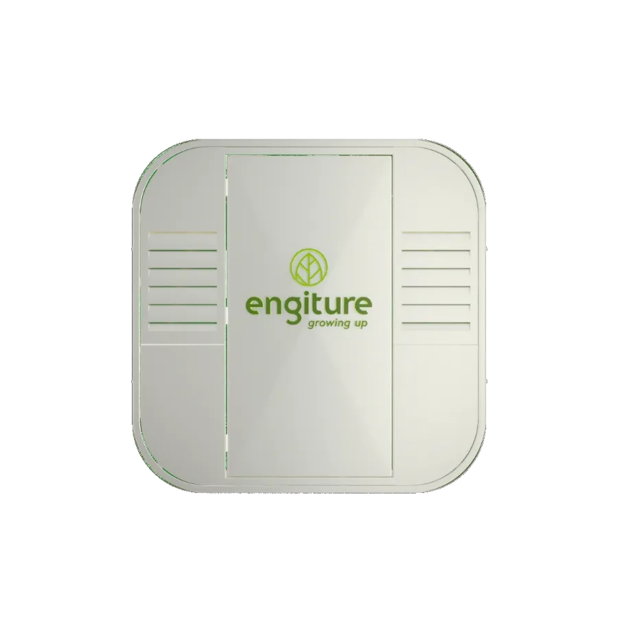 Engiture - Growing Up!
