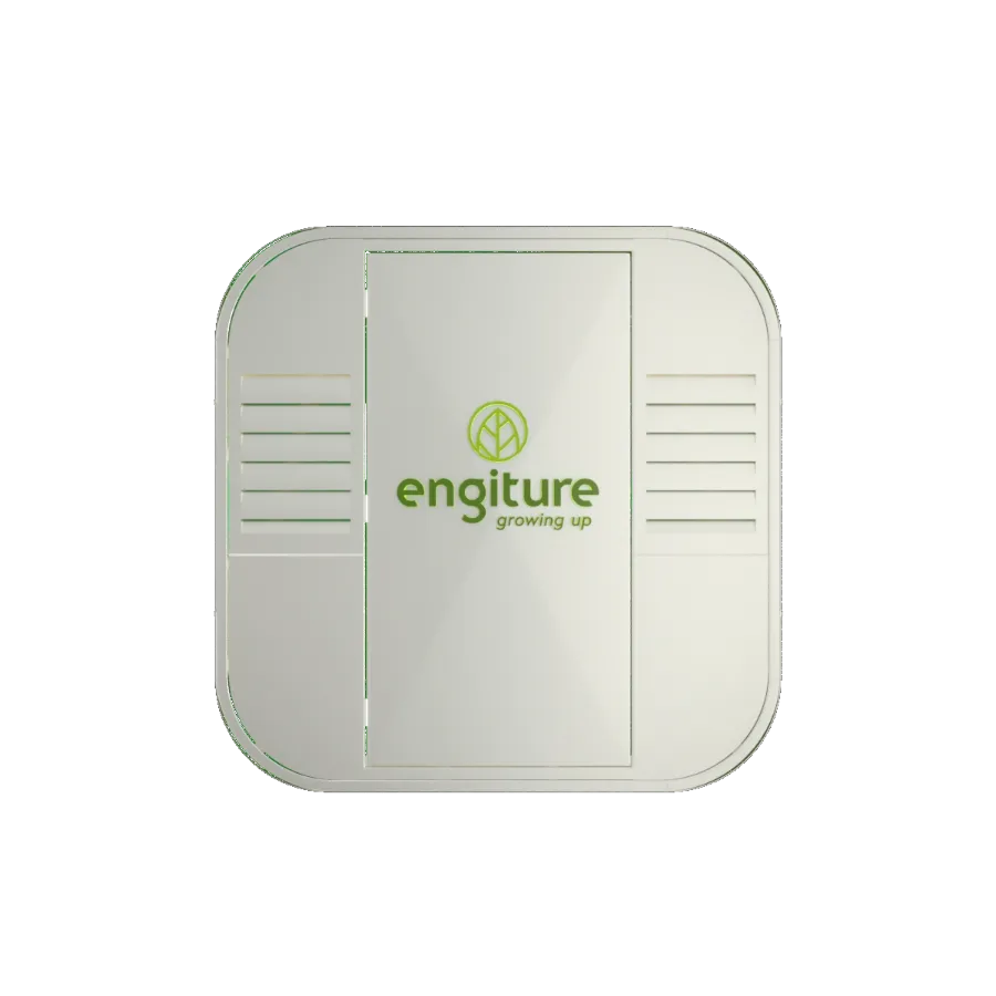 Engiture - Growing Up!