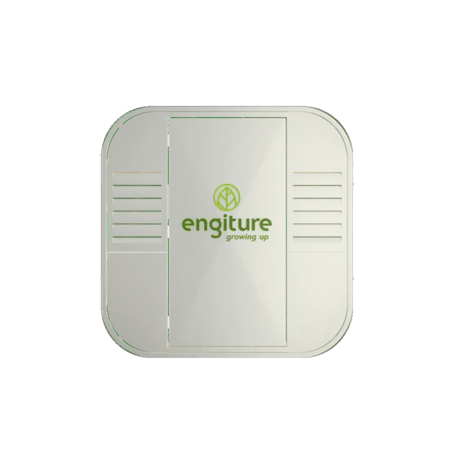 Engiture - Growing Up!