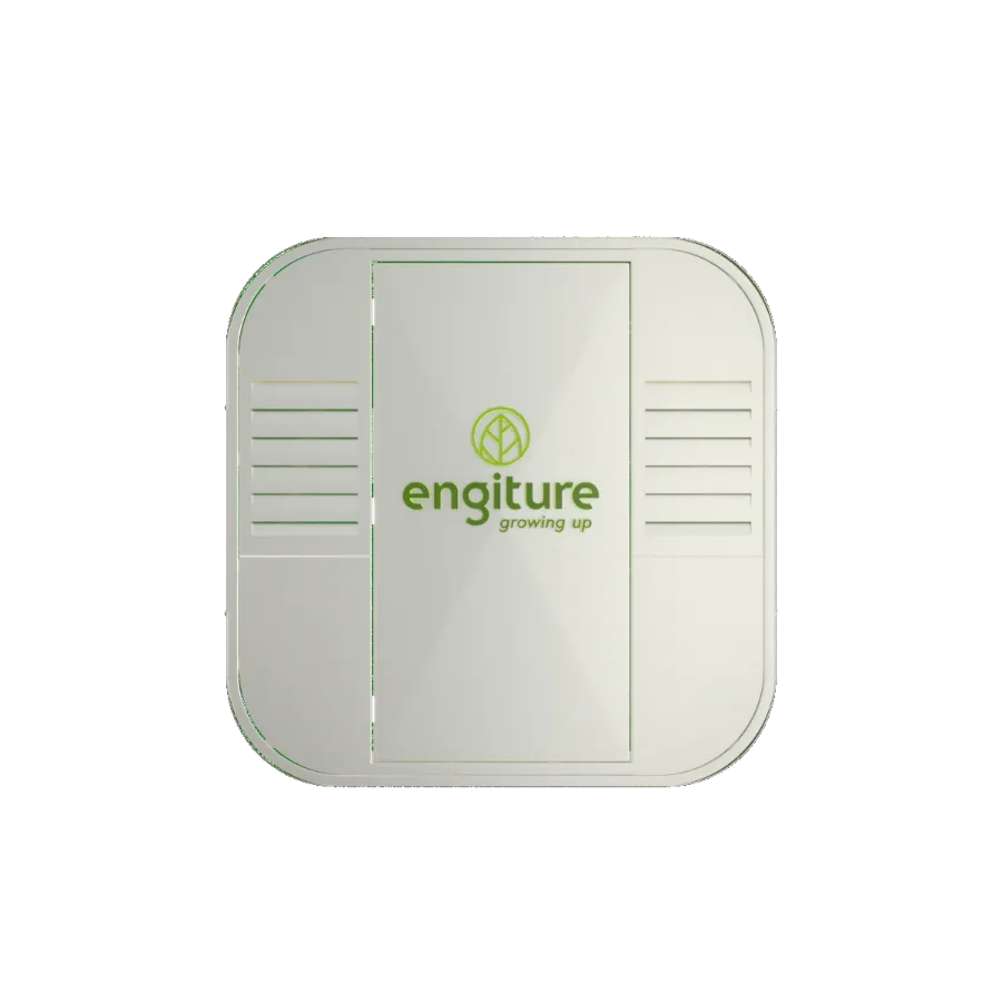 Engiture - Growing Up!