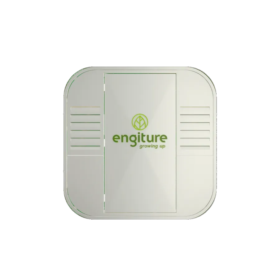 Engiture - Growing Up!