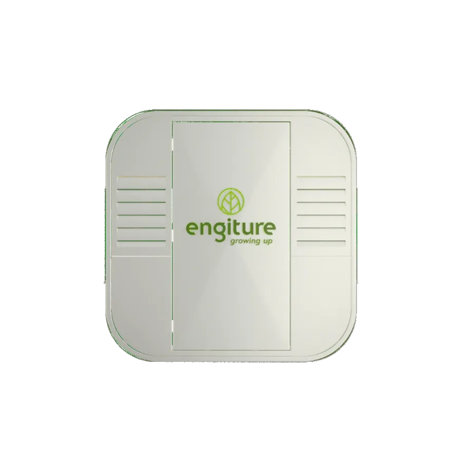 Engiture - Growing Up!