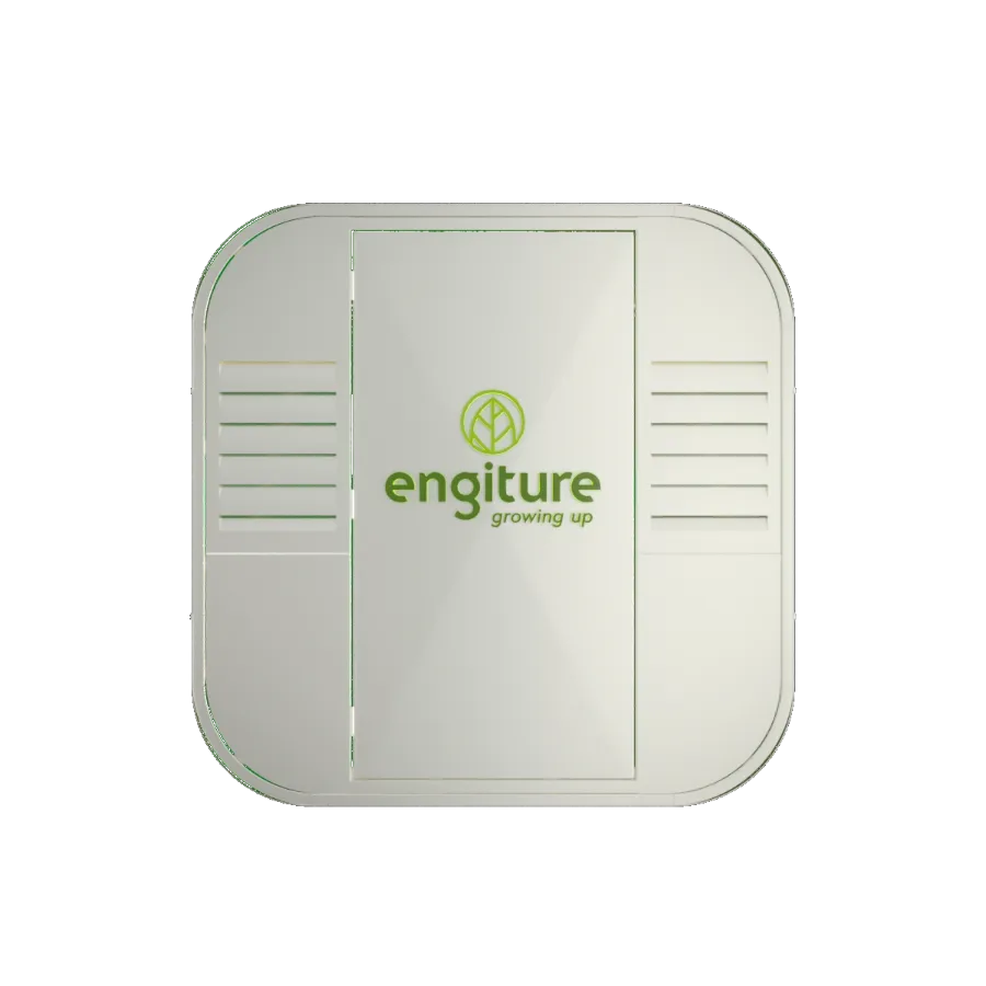 Engiture - Growing Up!