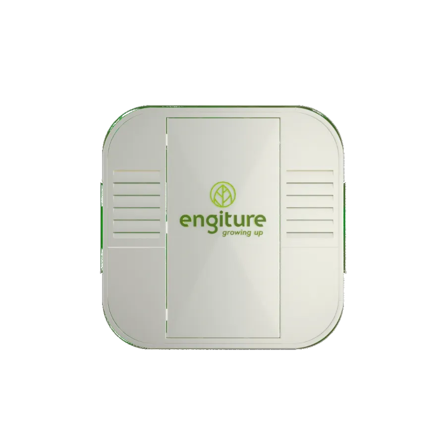 Engiture - Growing Up!