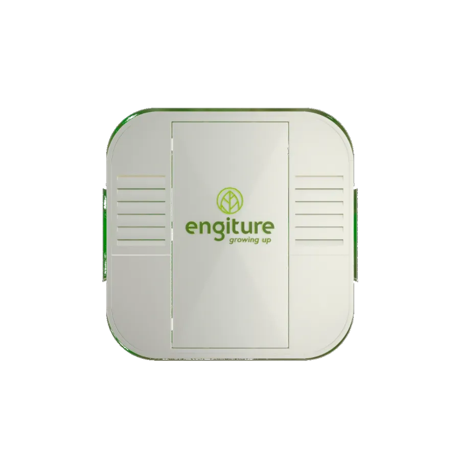 Engiture - Growing Up!