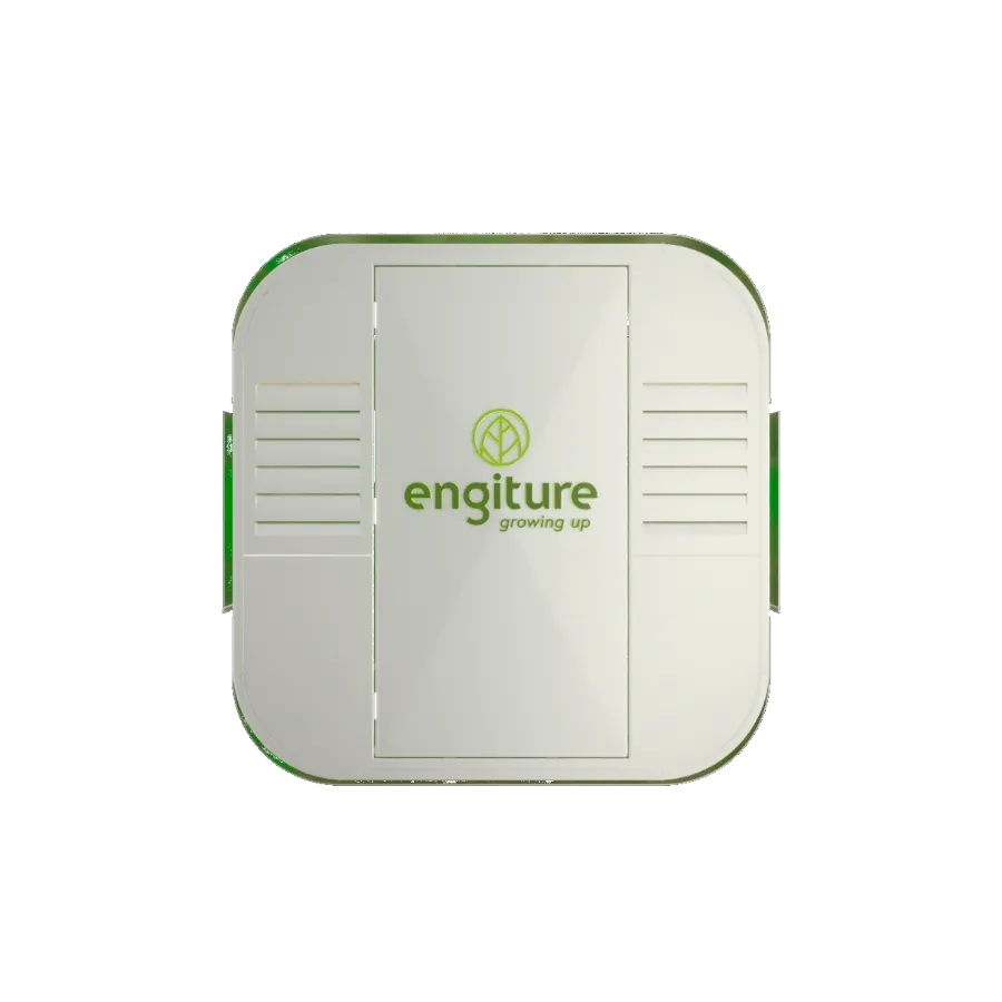 Engiture - Growing Up!