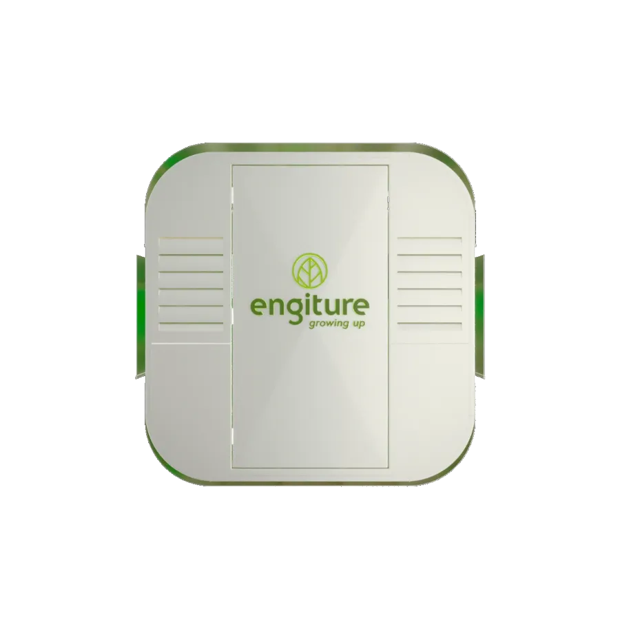 Engiture - Growing Up!