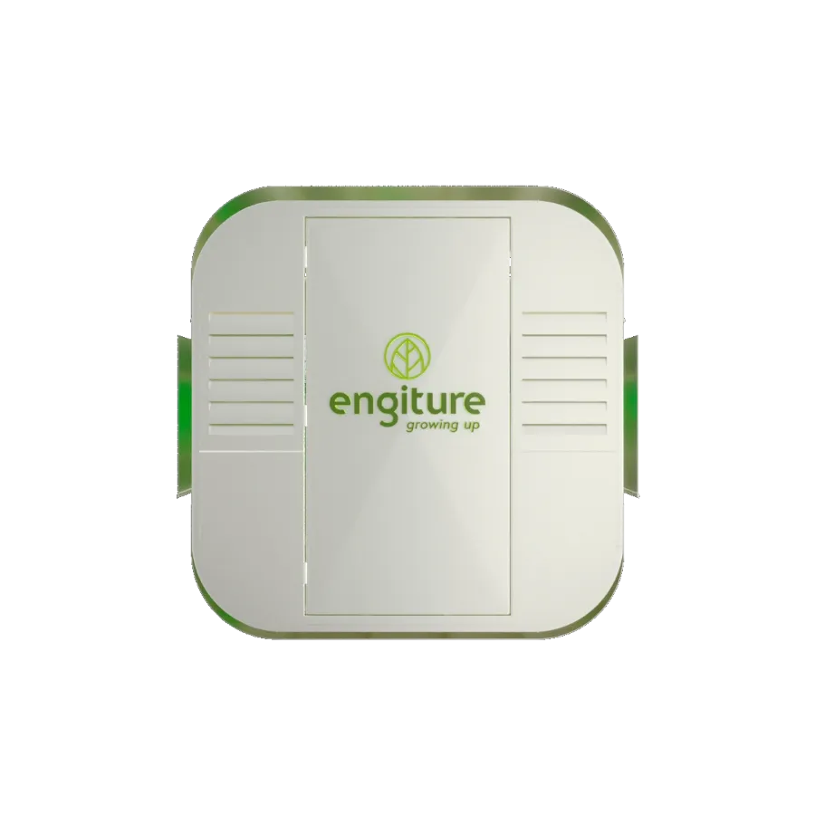 Engiture - Growing Up!