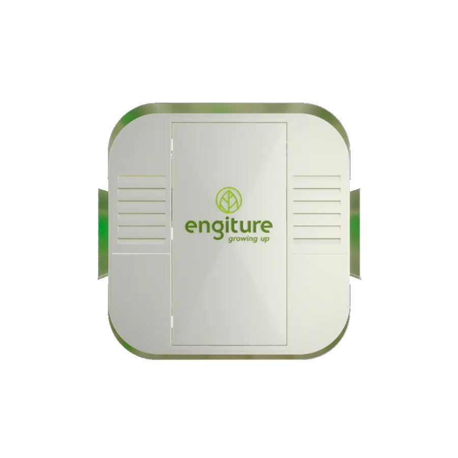 Engiture - Growing Up!