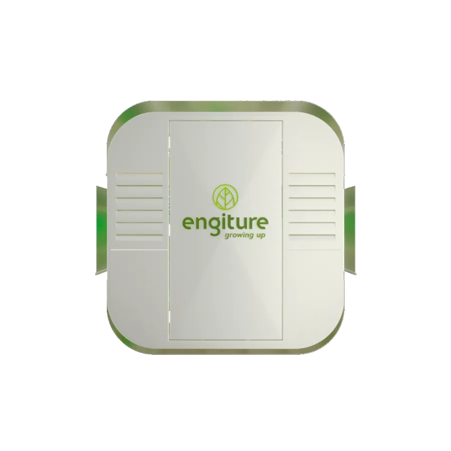 Engiture - Growing Up!