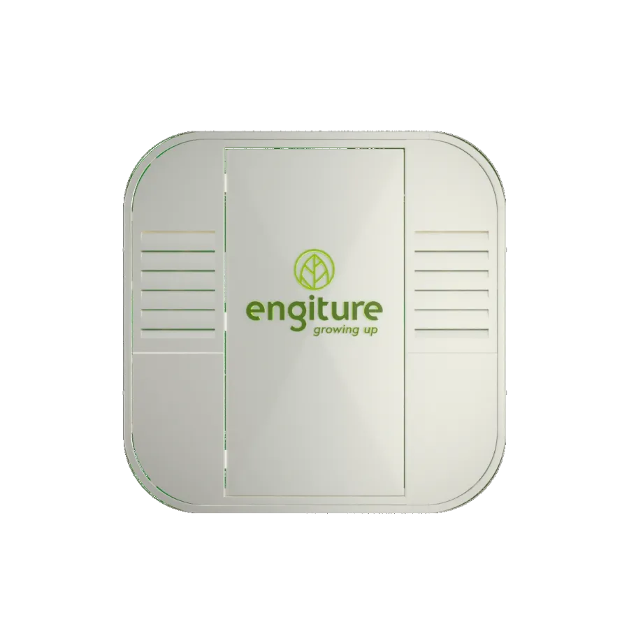 Engiture - Growing Up!