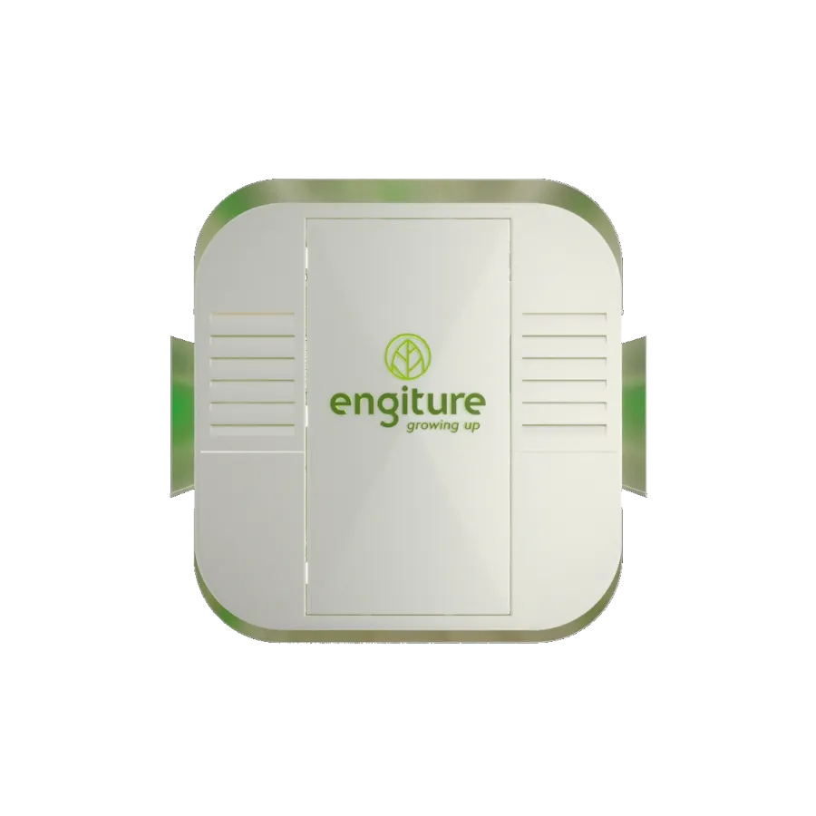 Engiture - Growing Up!