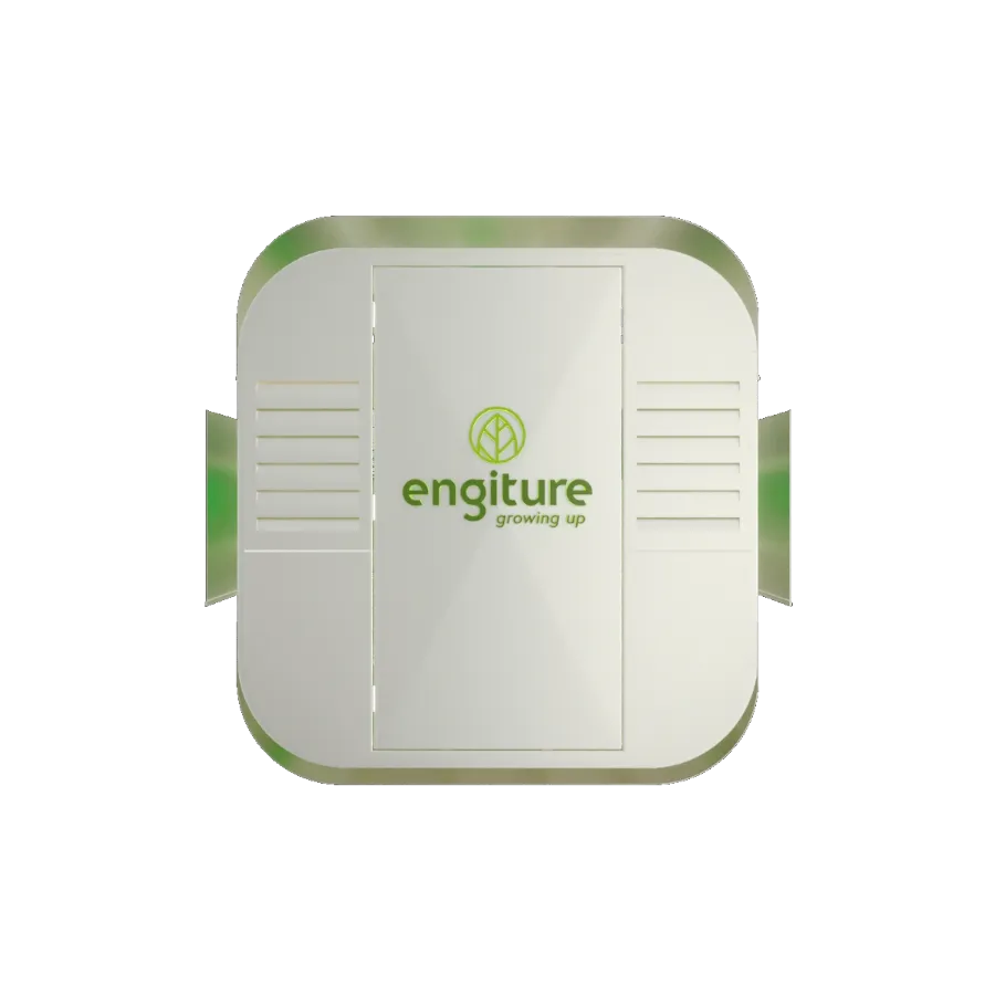Engiture - Growing Up!