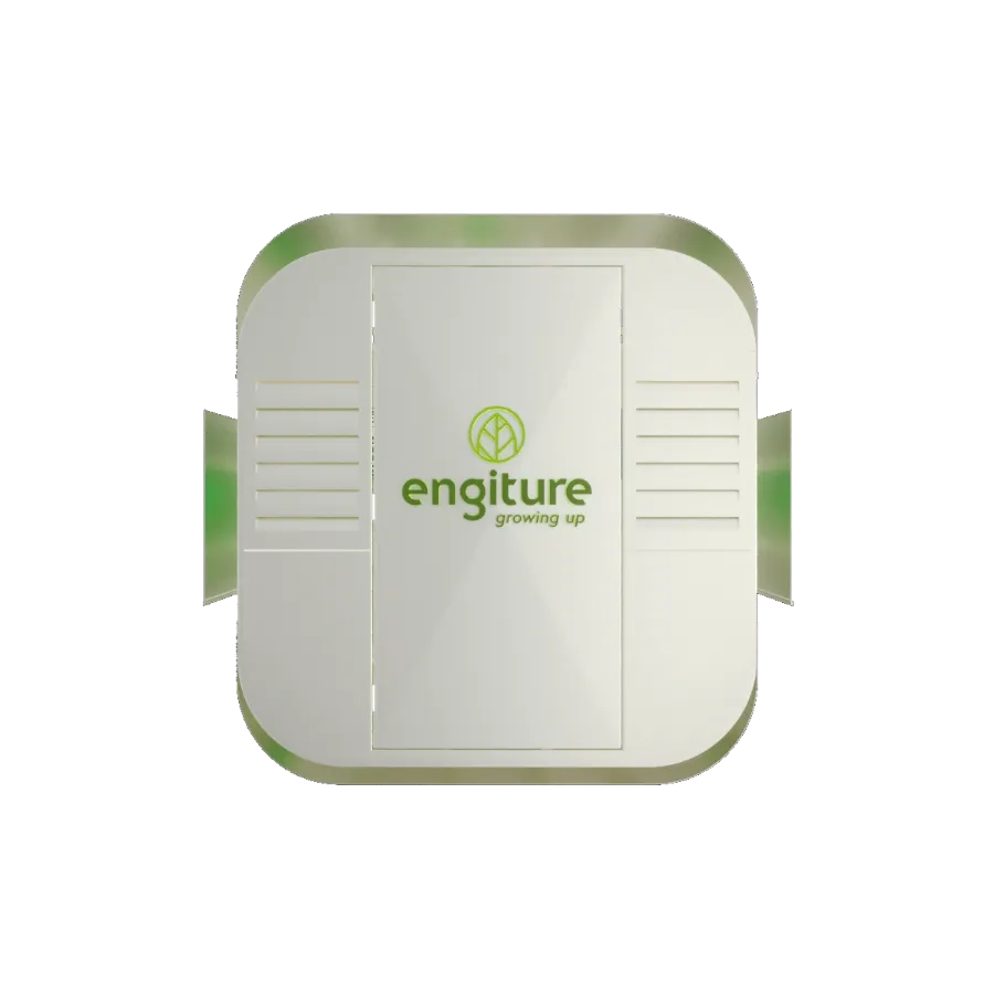 Engiture - Growing Up!