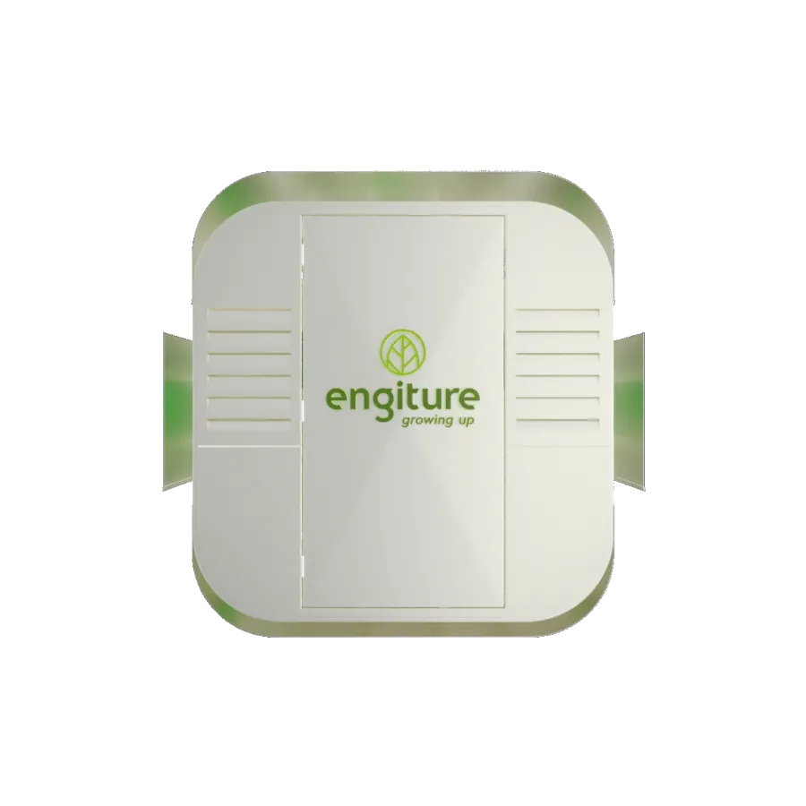 Engiture - Growing Up!
