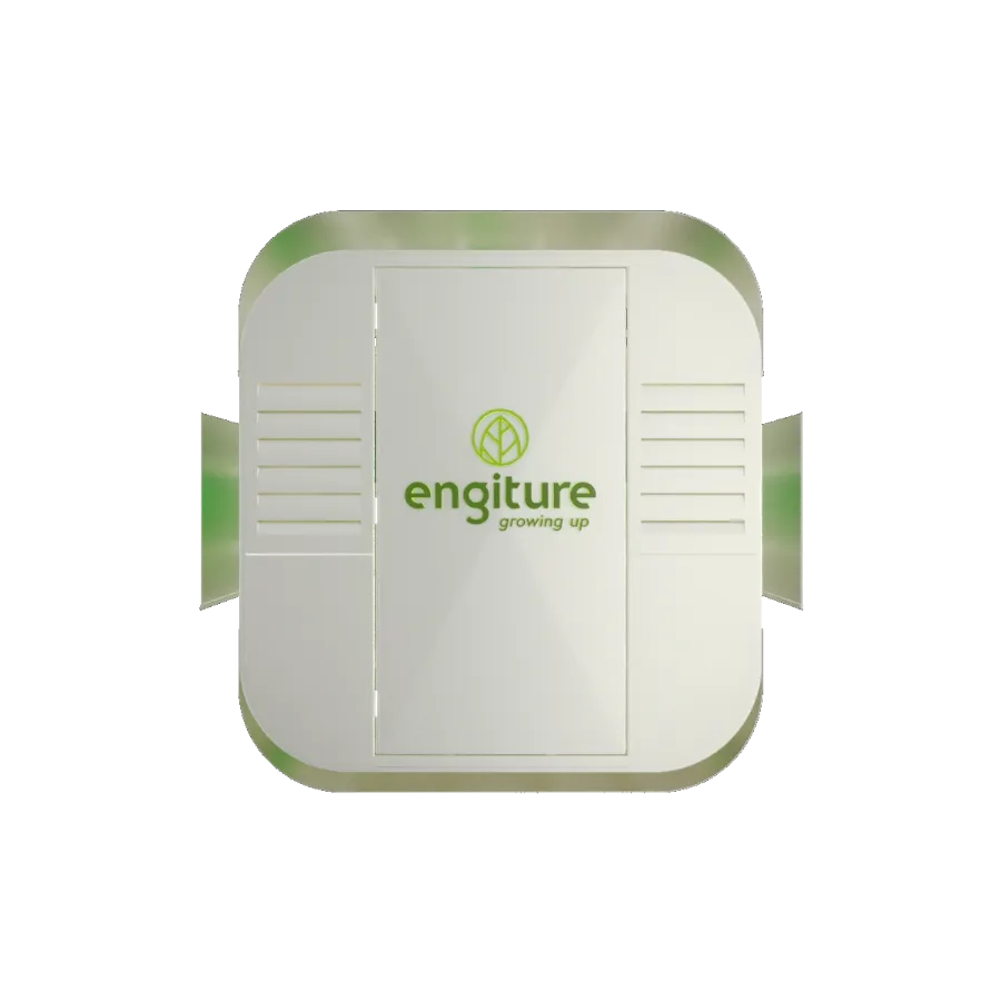 Engiture - Growing Up!