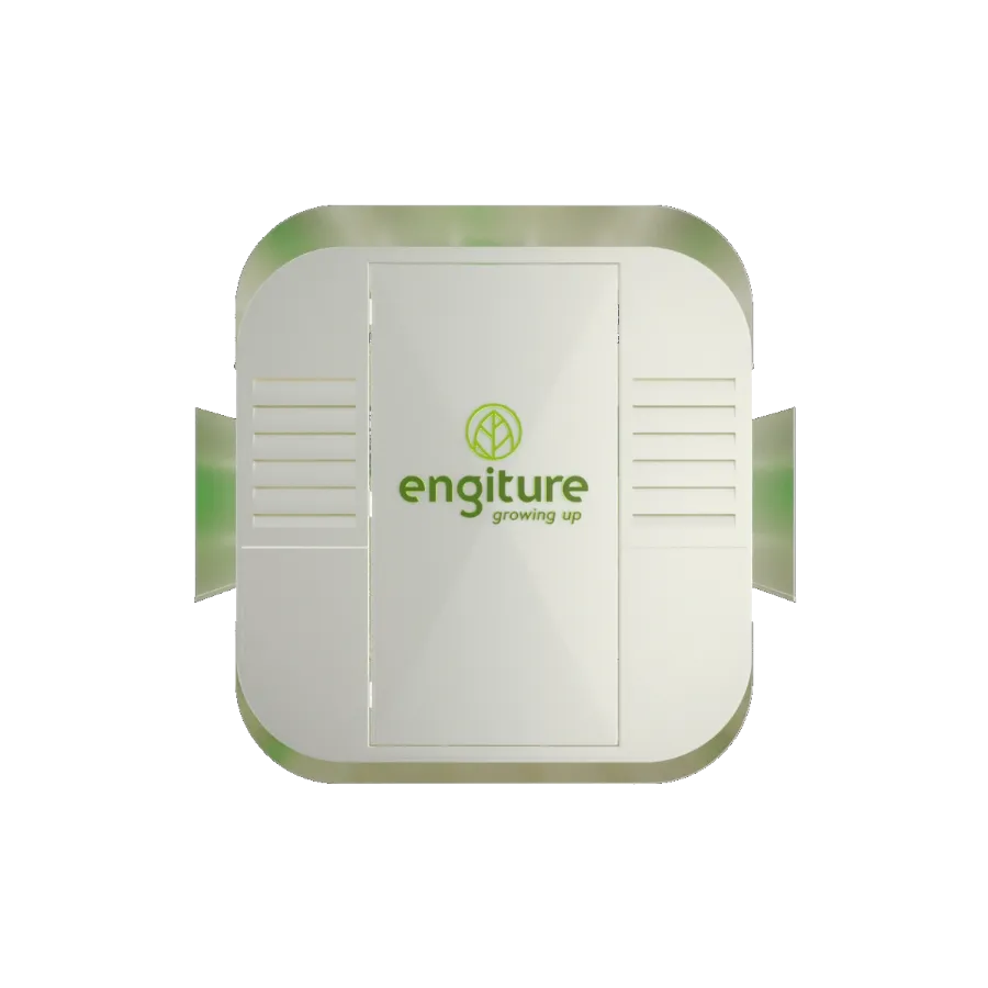 Engiture - Growing Up!