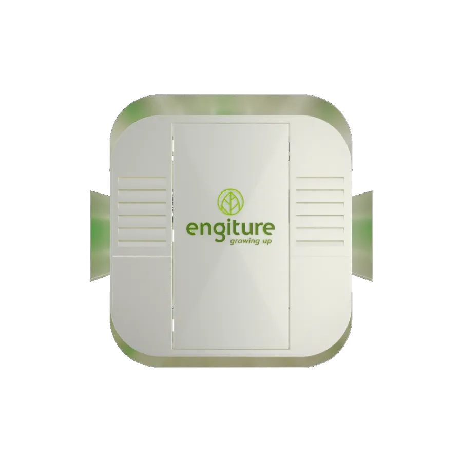 Engiture - Growing Up!