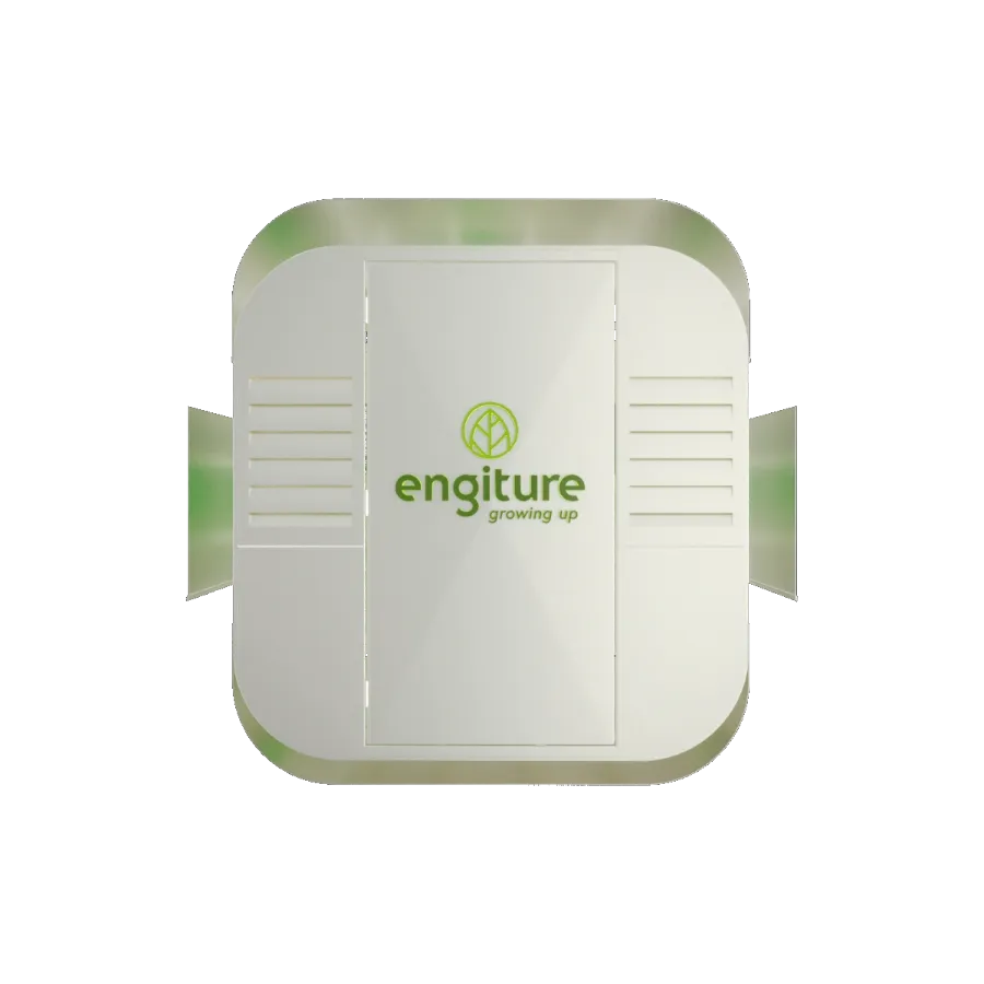 Engiture - Growing Up!