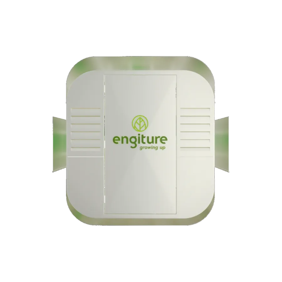 Engiture - Growing Up!