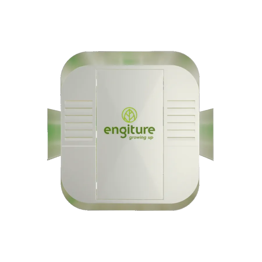 Engiture - Growing Up!