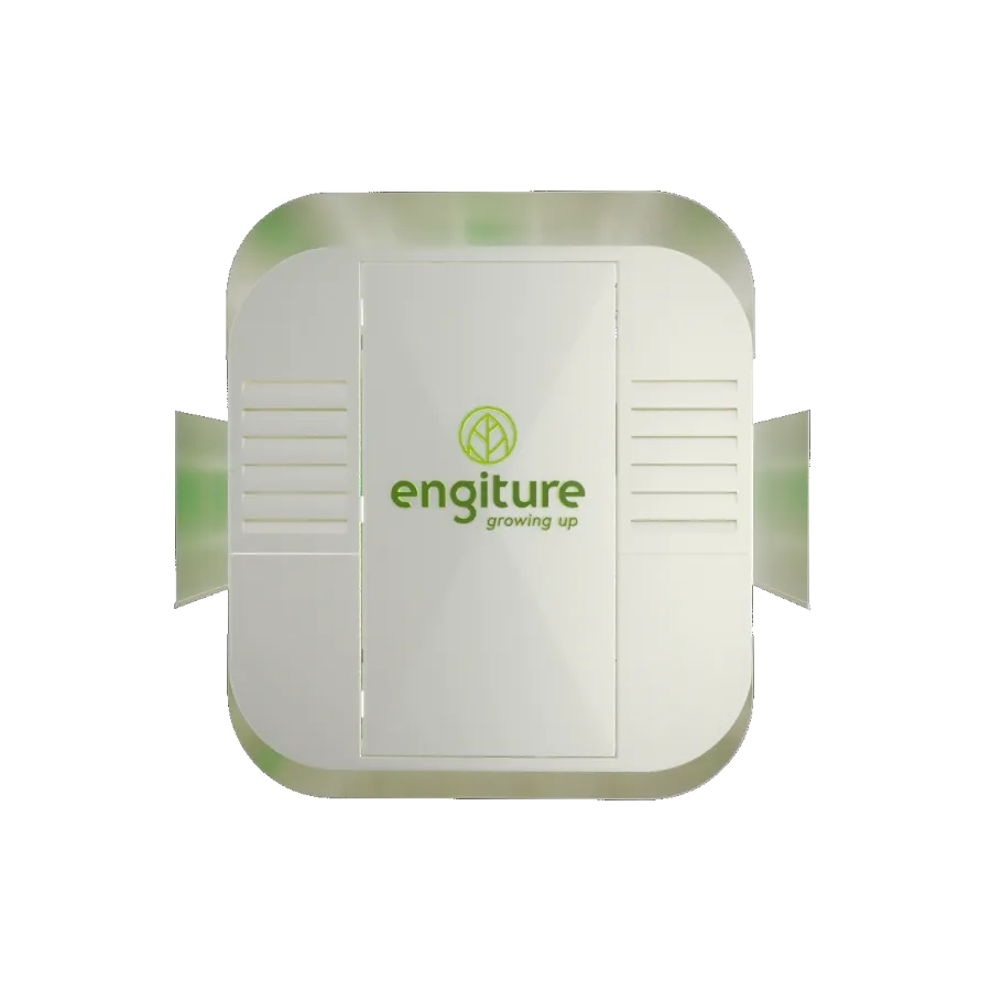 Engiture - Growing Up!