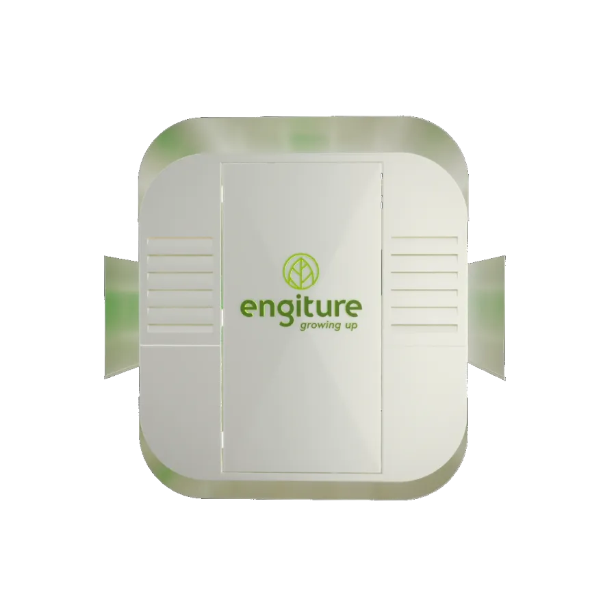 Engiture - Growing Up!