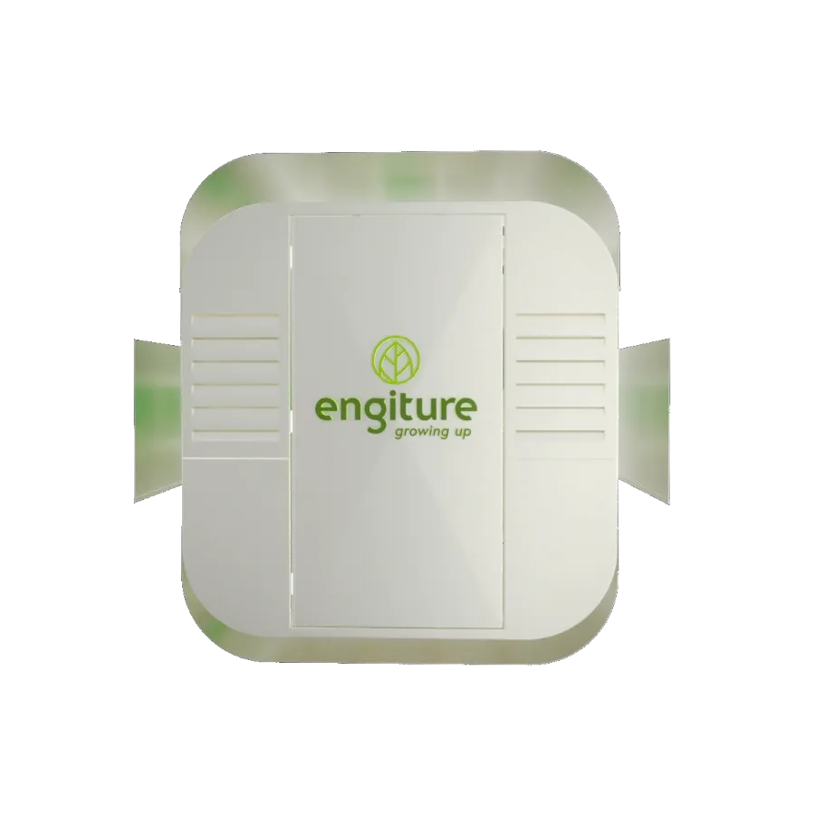 Engiture - Growing Up!