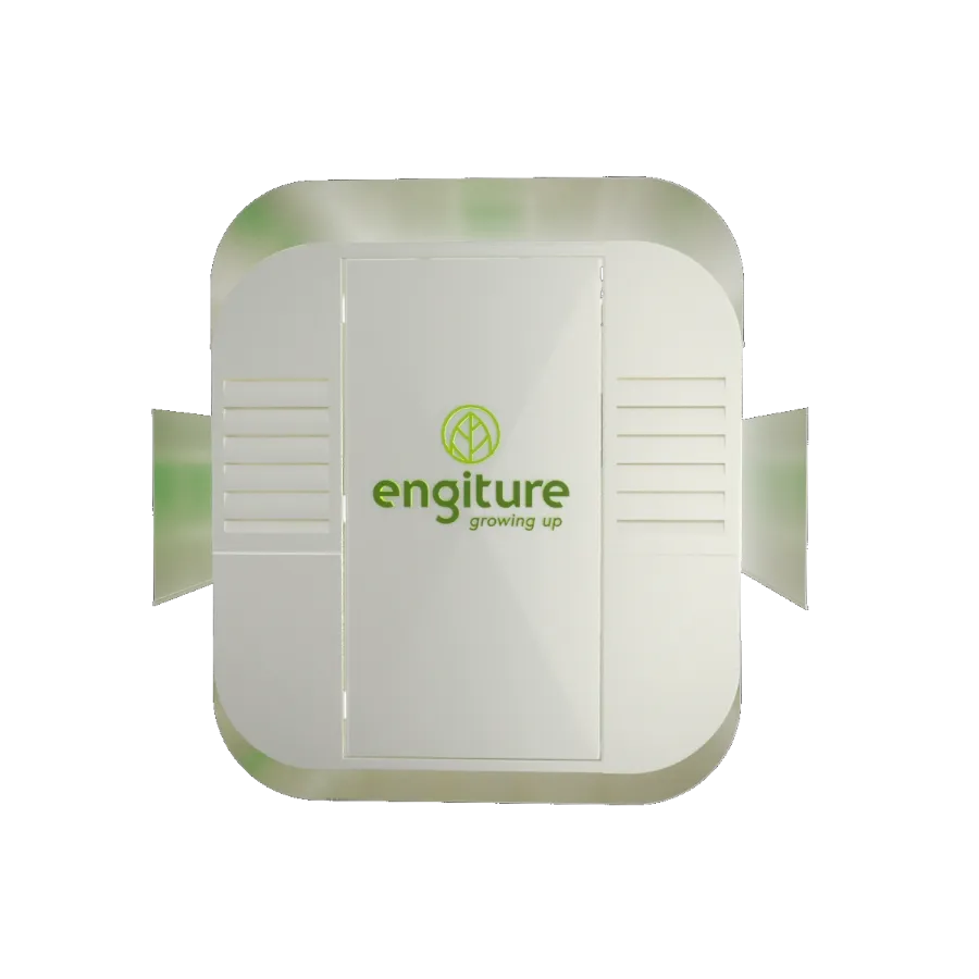 Engiture - Growing Up!