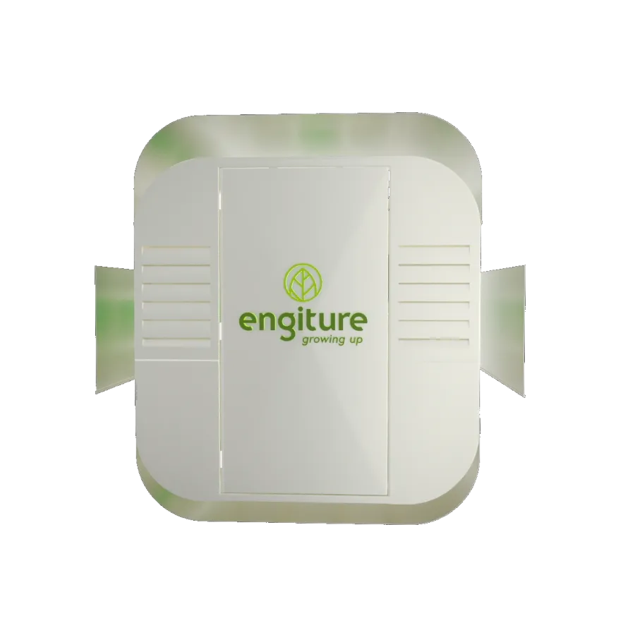 Engiture - Growing Up!