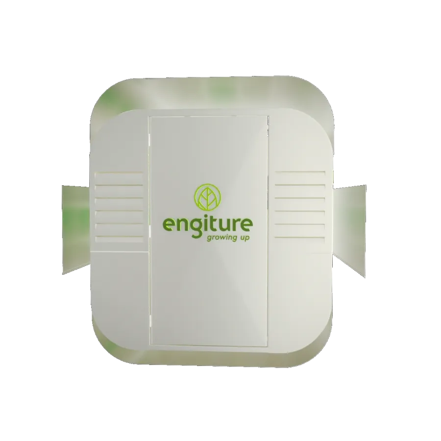 Engiture - Growing Up!