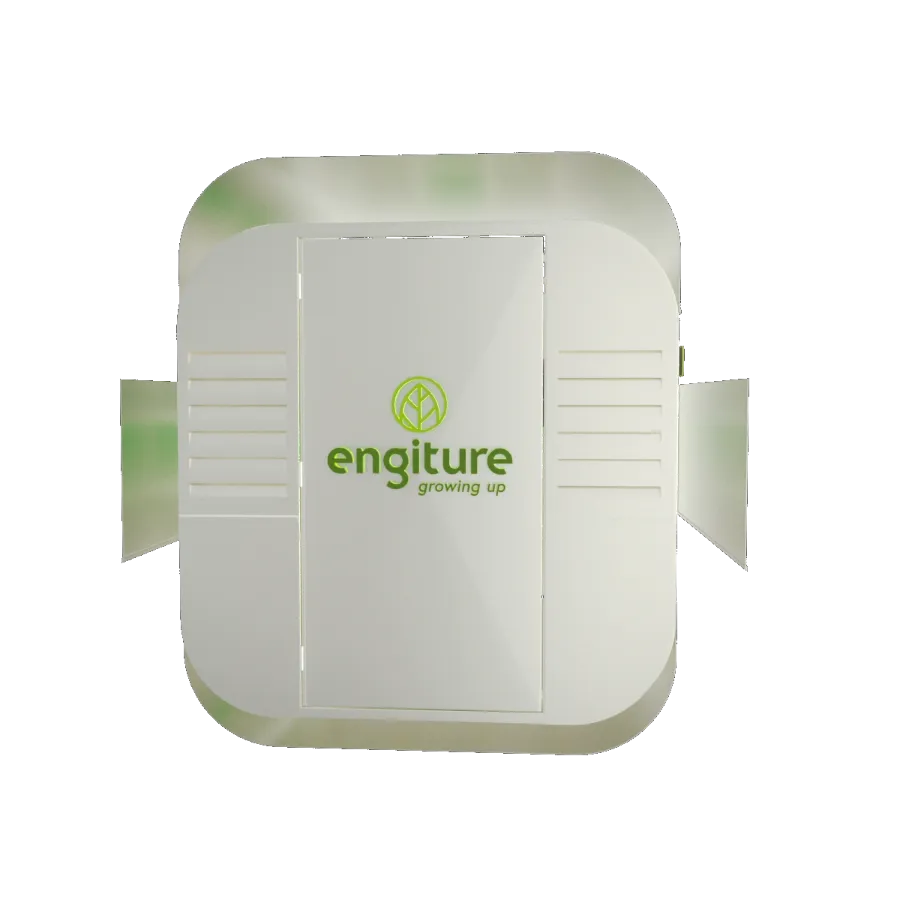 Engiture - Growing Up!