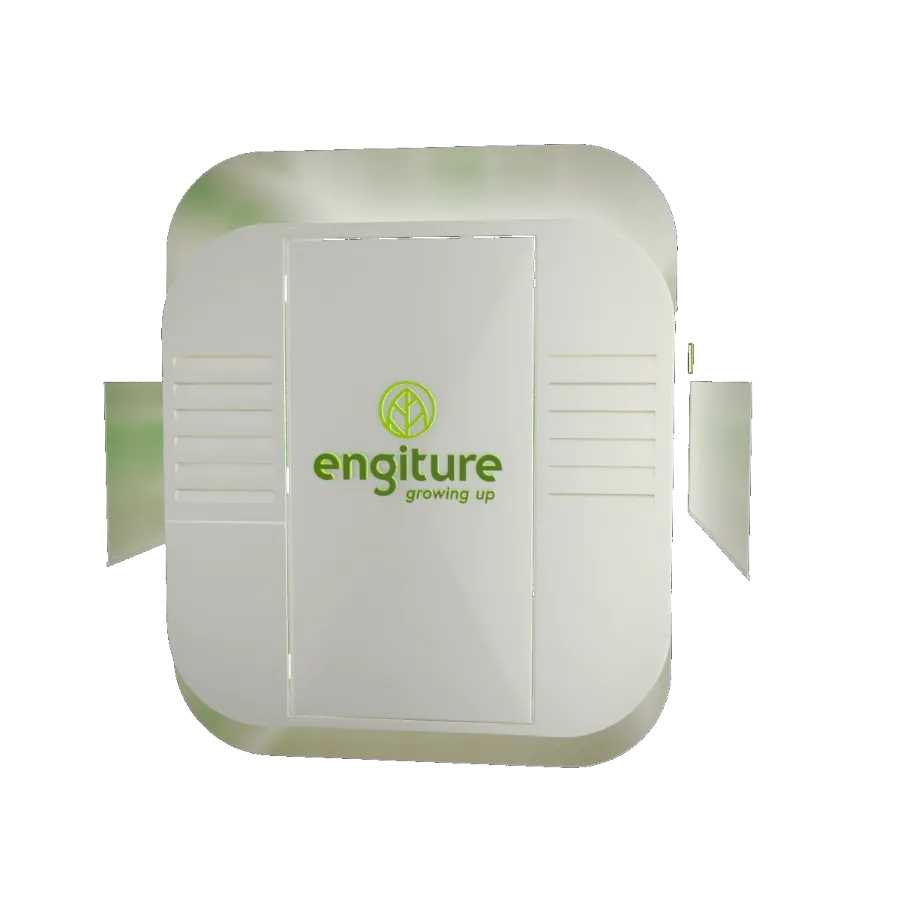 Engiture - Growing Up!