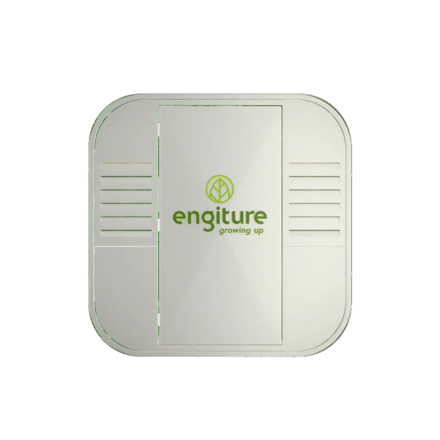 Engiture - Growing Up!