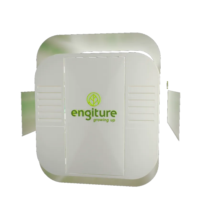 Engiture - Growing Up!