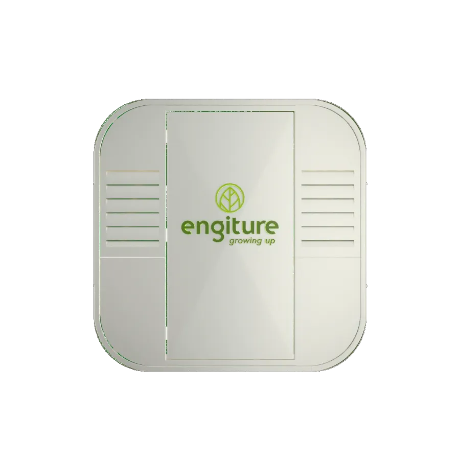 Engiture - Growing Up!