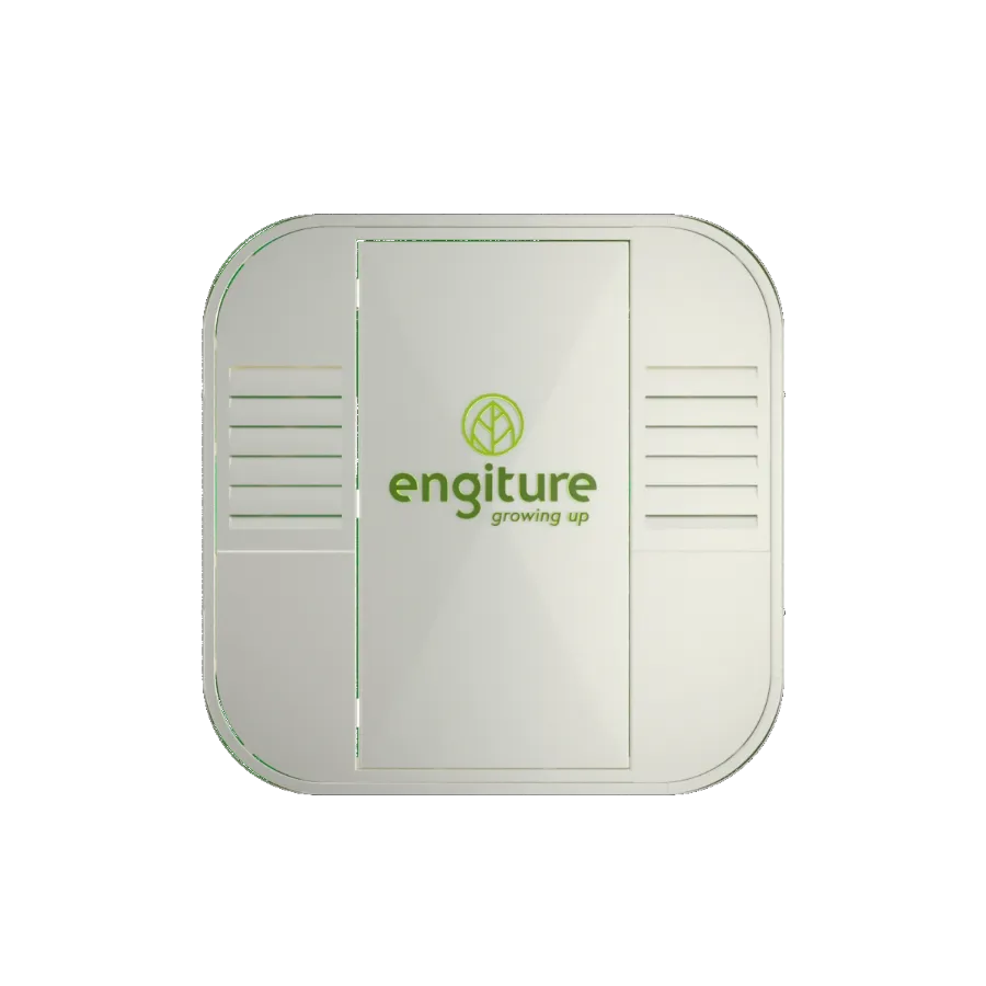 Engiture - Growing Up!