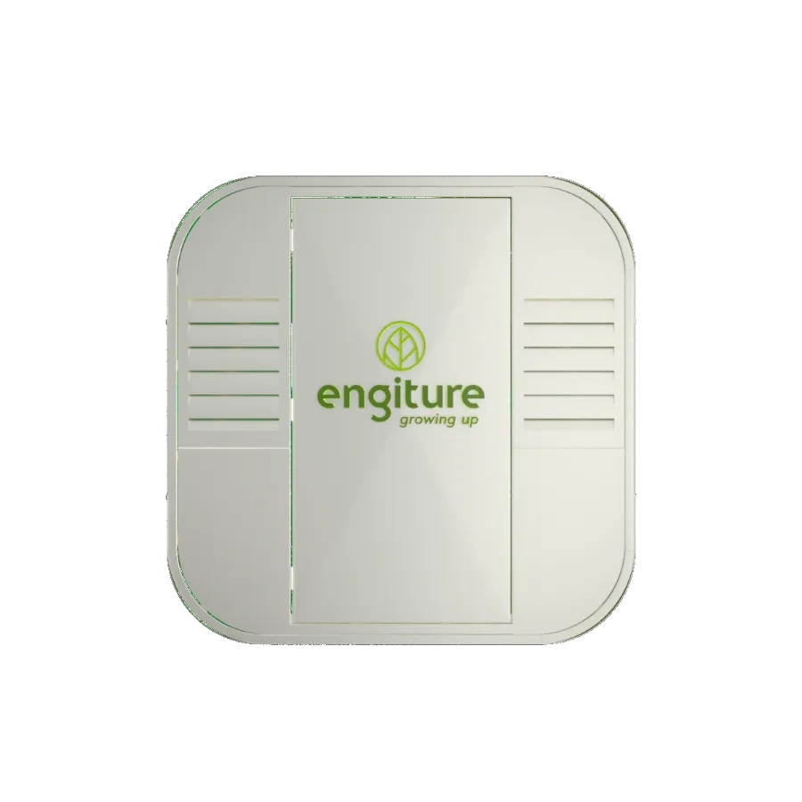 Engiture - Growing Up!