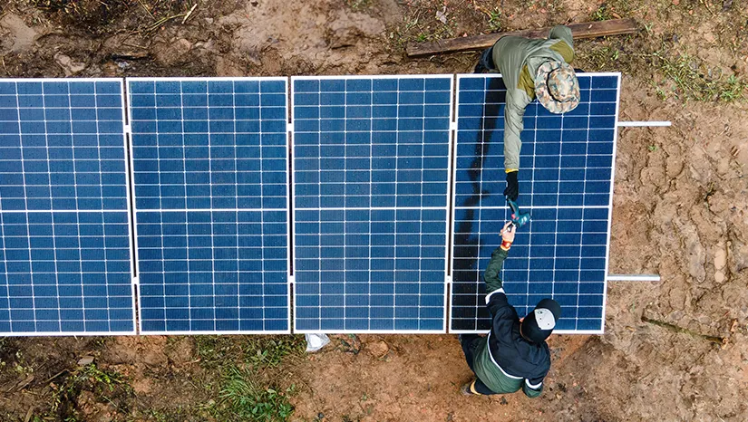 A Natureza é pura tecnologia